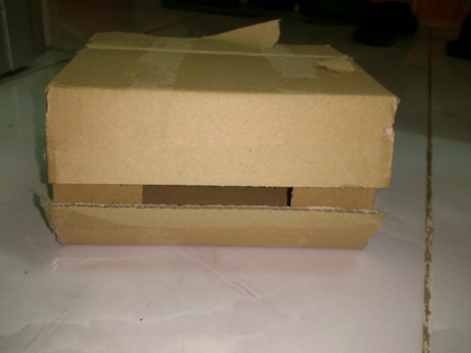 Sử dụng hộp nhử mối