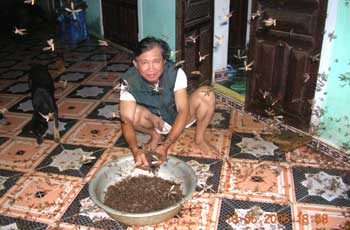 cach-chong-moi-bay-vao-nha