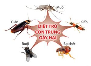 cong-ty-diet-con-trung-uy-tin-tai-ha-noi