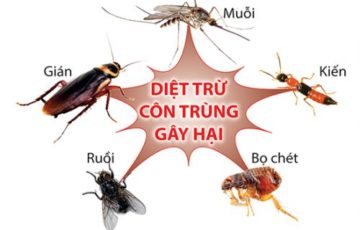 cong-ty-diet-con-trung-uy-tin-tai-ha-noi