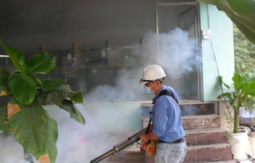 diet-con-trung-gia-re-tai-ha-noi