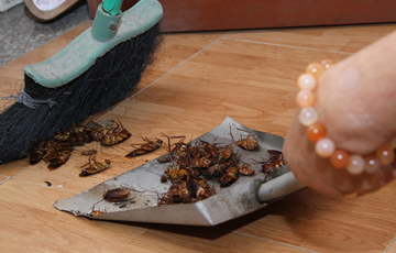 tieu-diet-gian-trong-tu-quan-ao