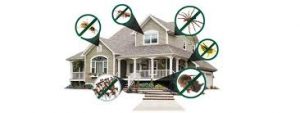 công ty diệt côn trùng tại quận Tây Hồ