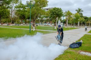 công ty diệt muỗi tại Đà Nẵng
