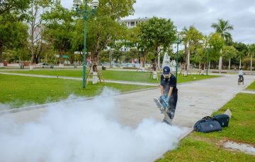 công ty diệt muỗi tại Đà Nẵng