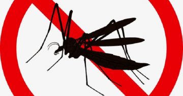 công ty diệt ruồi muỗi tại Hậu Giang