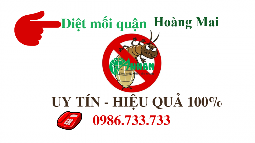 Diệt mối quận Hoàng Mai