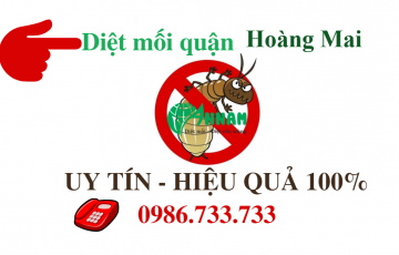 Diệt mối quận Hoàng Mai