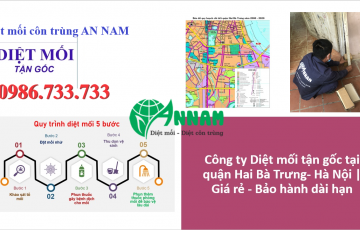 diệt mối quận hai bà trưng