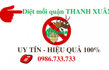 diệt mối quận Thanh Xuân