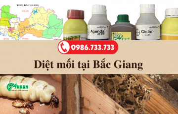 diệt mối bắc giang