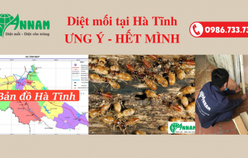 Diệt mối hà tĩnh