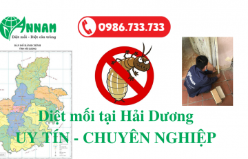 diệt mối hải dương
