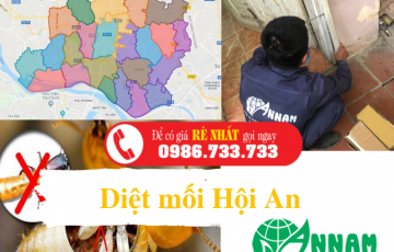 diệt mối hội an