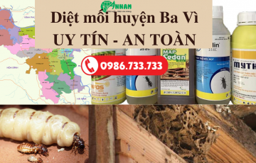 Diệt mối huyện Ba Vì
