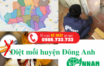 diệt mối huyện đông anh