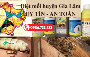 Diệt mối huyện gia lâm