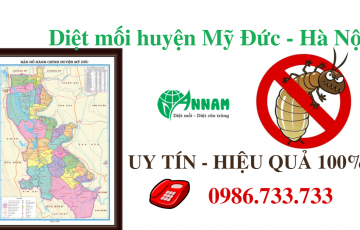 Diệt mối huyện mỹ đức