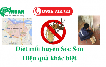 diệt mối huyện sóc sơn