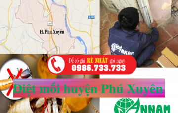 diệt mối huyện phú xuyên