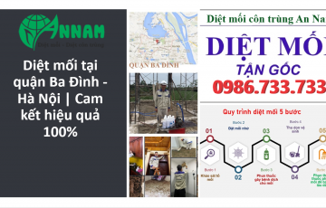 Diệt mối quận Ba Đình