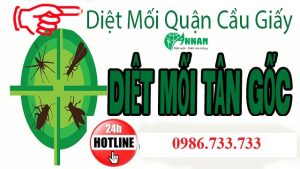 Diệt mối quận Cầu Giấy uy tín