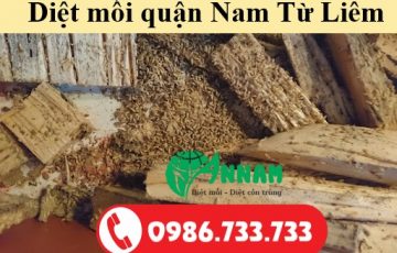 Diệt mối quận Nam Từ Liêm