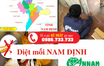 diệt mối nam định