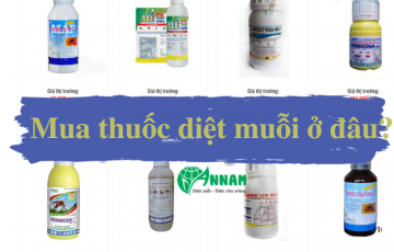 mua thuốc diệt muỗi ở đâu