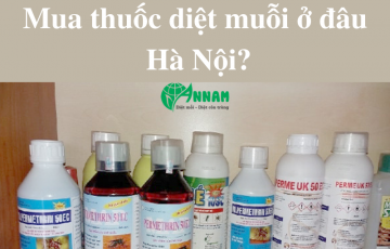 mua thuốc diệt muỗi ở đâu hà nội