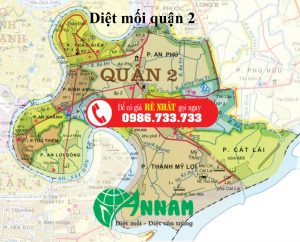 diệt mối quận 2