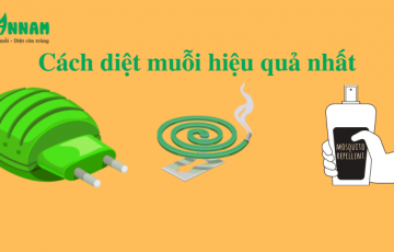 cách diệt muỗi hiệu quả nhất