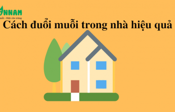 cách đuổi muỗi trong nhà
