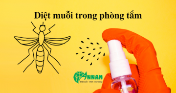 diệt muỗi trong nhà tắm