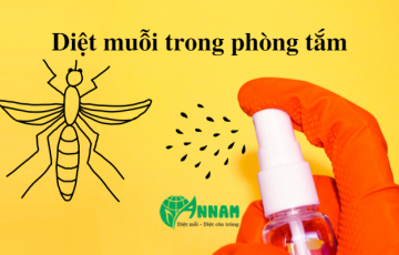 diệt muỗi trong nhà tắm