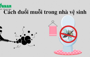 cách đuổi muỗi trong nhà vệ sinh