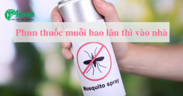 phun thuốc muỗi bao lâu thì được vào nhà