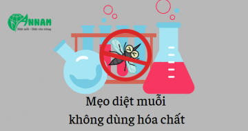 diệt muỗi không cần dùng hóa chất