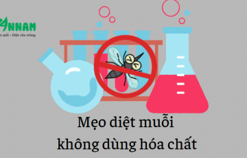 diệt muỗi không cần dùng hóa chất